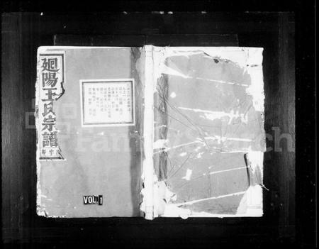 浙江王氏族谱-廻阳王氏宗谱 [16卷].pdf电子版插图1