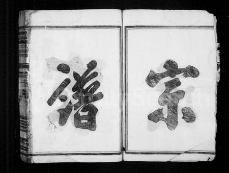 浙江王氏族谱-廻阳王氏宗谱 [16卷].pdf电子版插图4