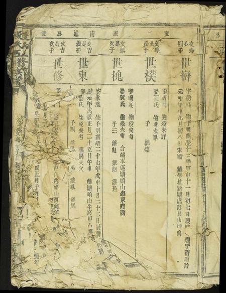 江西段氏族谱-段氏五修族谱.pdf电子版插图3