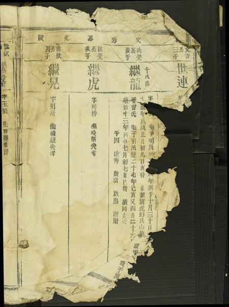 江西段氏族谱-段氏五修族谱.pdf电子版插图4