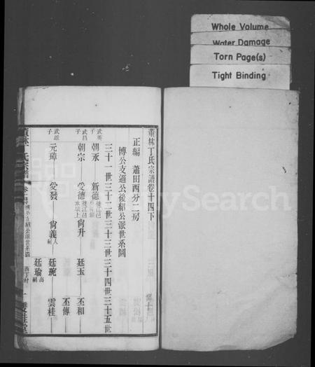 江苏丁氏族谱-董林丁氏宗谱.pdf电子版插图1 江苏丁氏族谱-董林丁氏宗谱.pdf电子版插图1