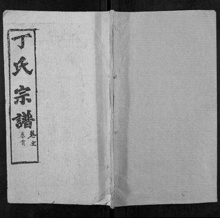 湖北丁氏族谱-丁氏宗谱.pdf电子版