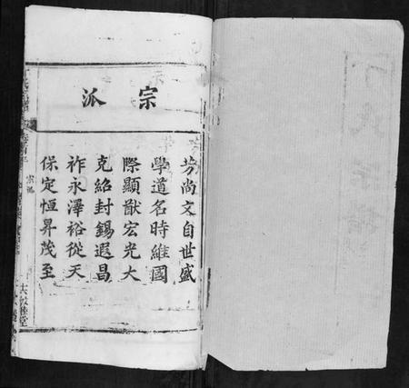 湖北丁氏族谱-丁氏宗谱.pdf电子版插图1