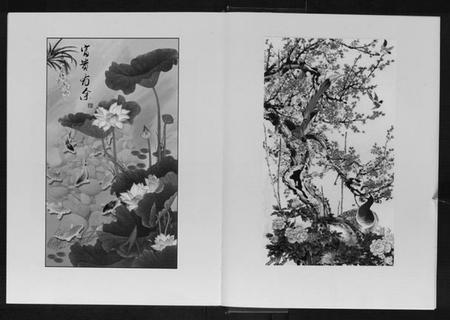 江苏张氏族谱-张氏宗谱[上中下册].pdf电子版插图5