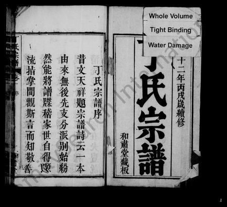 湖北丁氏族谱-丁氏宗谱 [11卷,首1卷].pdf电子版插图1