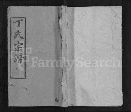 湖北丁氏族谱-丁氏宗谱 [13卷,首3卷].pdf电子版