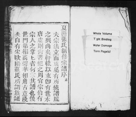 浙江张氏族谱-张氏宗谱 [8卷].pdf电子版插图2