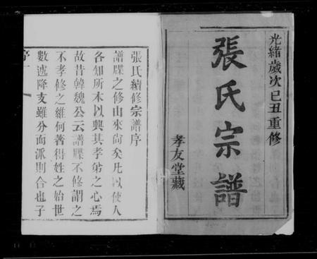 江苏张氏族谱-张氏宗谱[12卷].pdf电子版