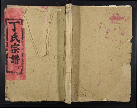 湖北丁氏族谱-丁氏宗谱[13卷首1卷].pdf电子版