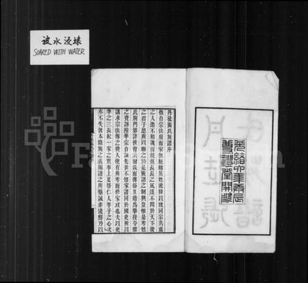 江苏张氏族谱-丹徒张氏族谱 [8卷,首1卷].pdf电子版插图2