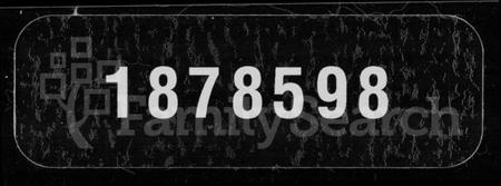 湖南华氏族谱-华氏族谱 [11卷,首2卷].pdf电子版