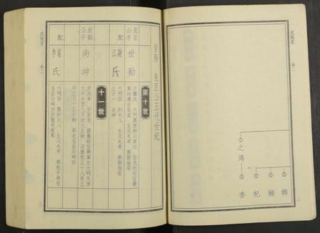 湖南华氏族谱-华氏族谱 [6卷及卷首3卷].pdf电子版插图3