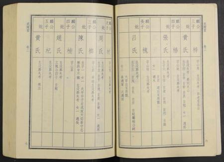 湖南华氏族谱-华氏族谱 [6卷及卷首3卷].pdf电子版插图5