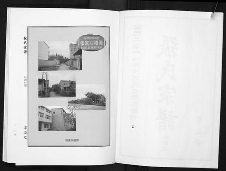 湖北张氏族谱-张氏宗谱.pdf电子版插图2