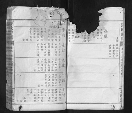 湖北张氏族谱-张氏宗谱.pdf电子版插图2