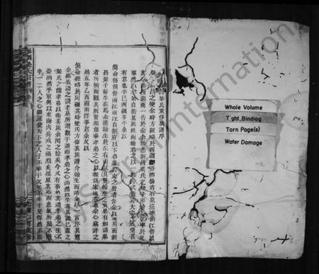 浙江梁氏族谱-彩烟梁氏宗谱 [卷数杂异].pdf电子版插图2