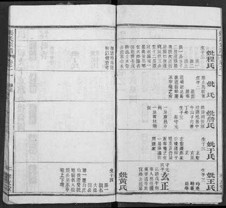 湖北张氏族谱-张氏宗谱.pdf电子版插图3