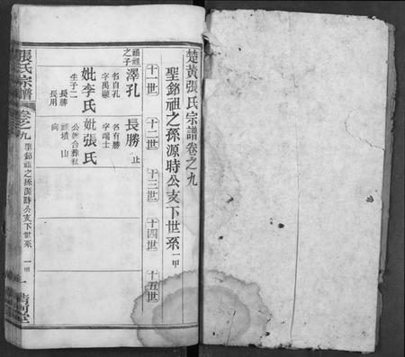 湖北张氏族谱-张氏宗谱.pdf电子版插图2