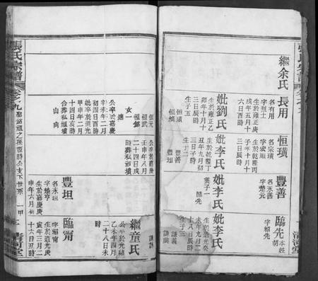 湖北张氏族谱-张氏宗谱.pdf电子版插图3