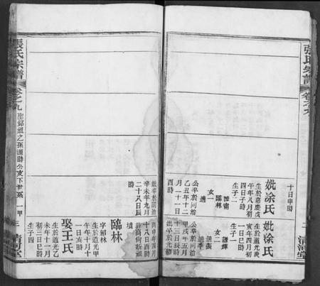 湖北张氏族谱-张氏宗谱.pdf电子版插图4