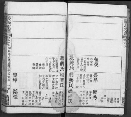 湖北张氏族谱-张氏宗谱.pdf电子版插图5