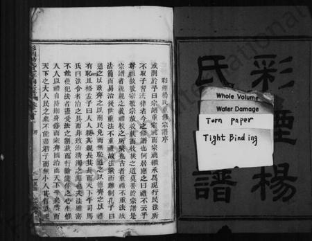 浙江杨氏族谱-彩烟杨氏宗谱 [14卷].pdf电子版插图2