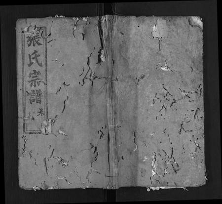 湖北张氏族谱-张氏宗谱.pdf电子版插图 湖北张氏族谱-张氏宗谱.pdf电子版插图