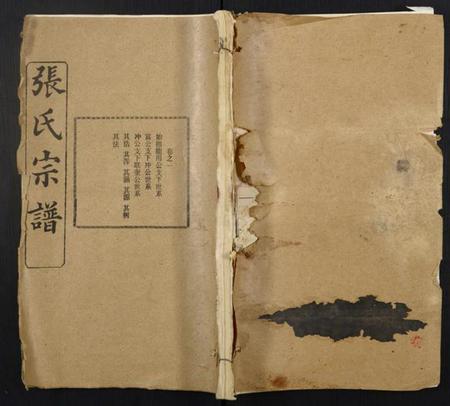 湖北张氏族谱-张氏宗谱.pdf电子版