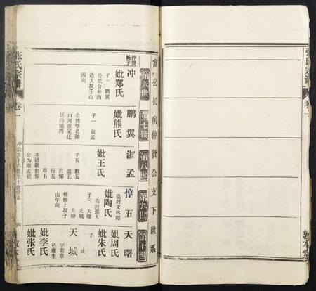 湖北张氏族谱-张氏宗谱.pdf电子版插图4