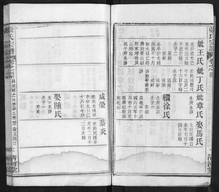 湖北张氏族谱-张氏宗谱.pdf电子版插图2 湖北张氏族谱-张氏宗谱.pdf电子版插图2