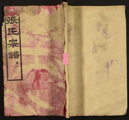 湖北张氏族谱-张氏宗谱.pdf电子版