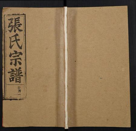 湖北张氏族谱-张氏宗谱.pdf电子版