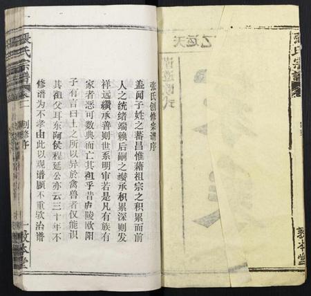 湖北张氏族谱-张氏宗谱.pdf电子版插图2