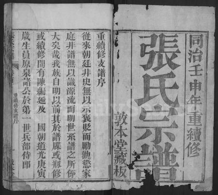 湖北张氏族谱-张氏宗谱 [10卷,首5卷].pdf电子版插图1