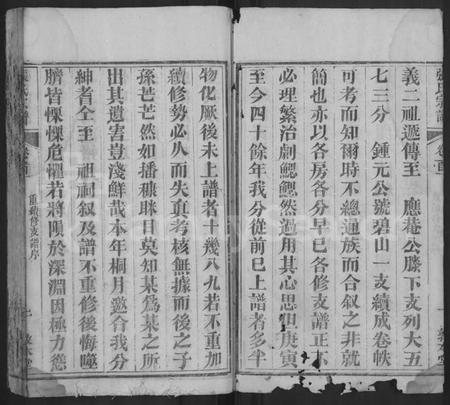 湖北张氏族谱-张氏宗谱 [10卷,首5卷].pdf电子版插图2