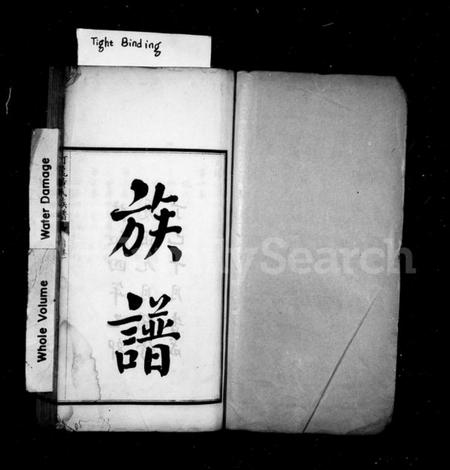 湖南黄氏族谱-汀龙黄氏族谱 [10卷].pdf电子版插图2