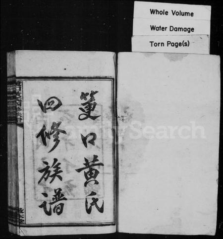 湖南黄氏族谱-筻口黄氏四修族谱 [12卷].pdf电子版插图2