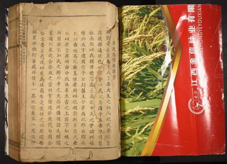 江西方氏族谱-兴雩方氏九修族谱.pdf电子版