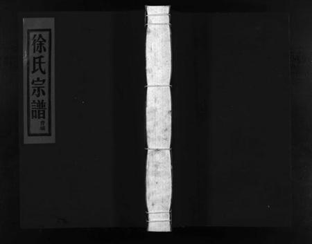 浙江徐氏族谱-徐氏宗谱 [不分卷].pdf电子版插图1