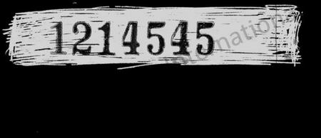 江苏周氏族谱-润东周氏十二次重修族谱 [24卷].pdf电子版