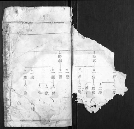 湖北周氏族谱-周氏宗谱.pdf电子版插图2