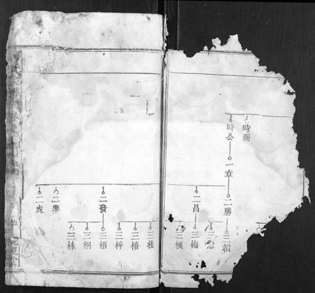 湖北周氏族谱-周氏宗谱.pdf电子版插图3