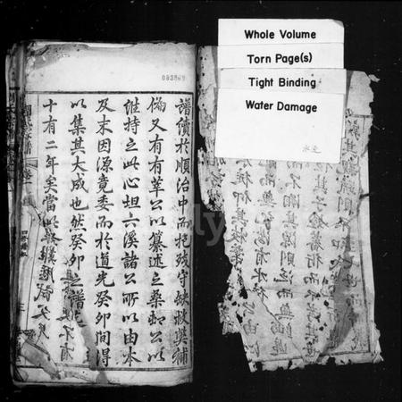 湖北周氏族谱-周氏宗谱 [12卷].pdf电子版插图3