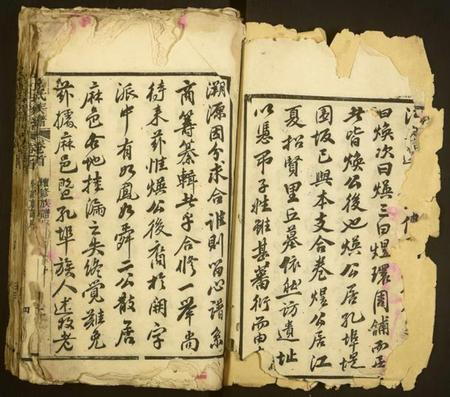 湖北杜氏族谱-杜氏族谱.pdf电子版插图2