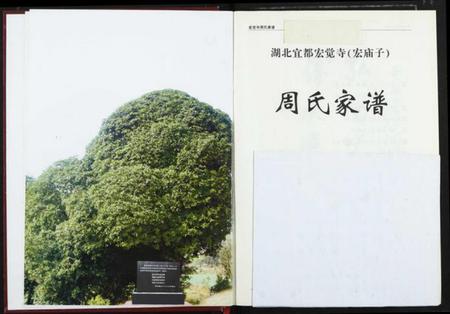 湖北周氏族谱-周氏家谱.pdf电子版插图2 湖北周氏族谱-周氏家谱.pdf电子版插图2