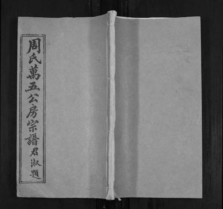 湖北周氏族谱-周氏万五公房宗谱[18卷首4卷].pdf电子版
