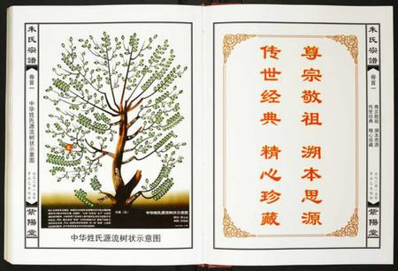 湖北朱氏族谱-朱氏宗谱.pdf电子版插图3