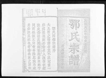 湖北鄂氏族谱-鄂氏宗谱[10卷首4卷].pdf电子版插图1