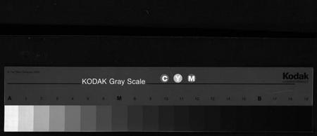 浙江卢氏族谱-指山卢氏宗谱 [6卷,首1卷].pdf电子版