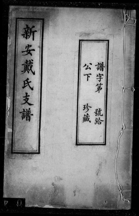 浙江戴氏族谱-新安戴氏支谱 [4卷,首1卷].pdf电子版